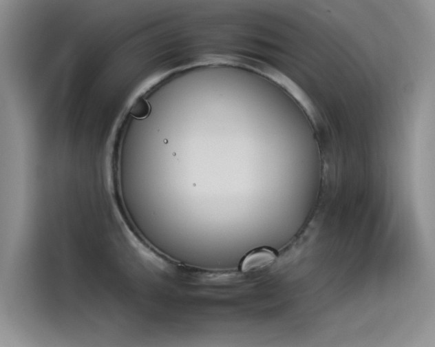 X0000114231143200910161605