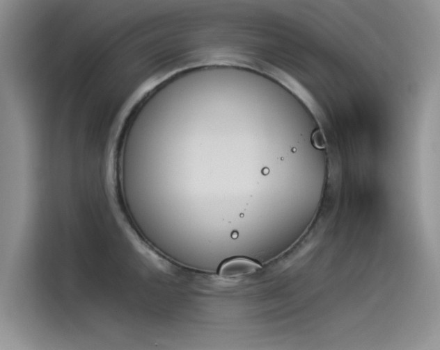X0000114231144200910161605