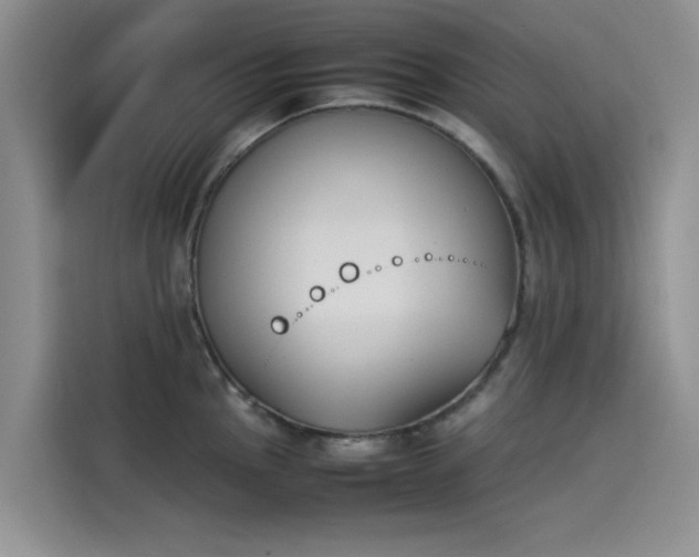 X0000114231145200910161605