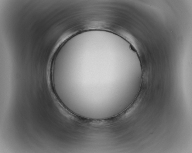 X0000114231146200910161605
