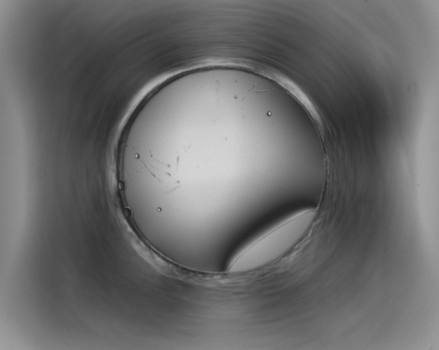 X0000114231148200910161605