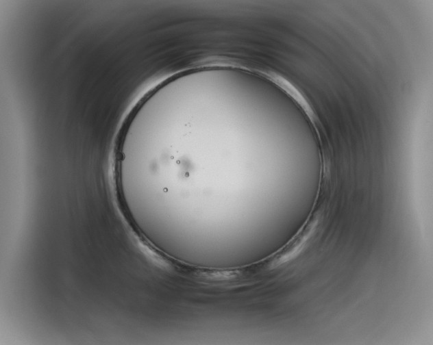 X0000114231149200910161605