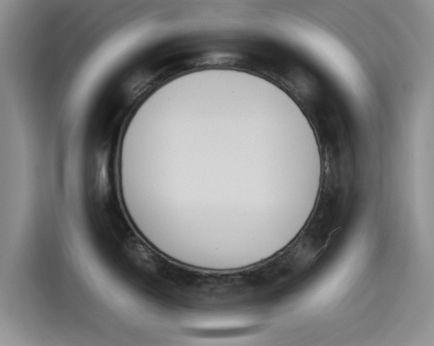 X0000114231150200910161605