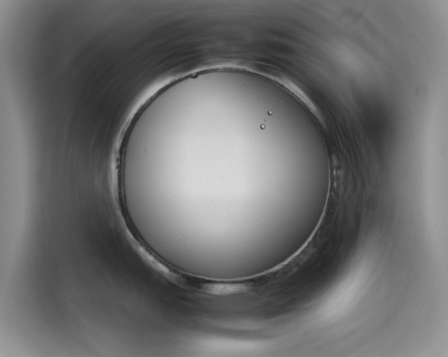 X0000114231151200910161605