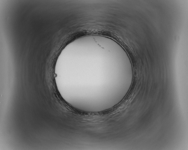 X0000114231153200910161605