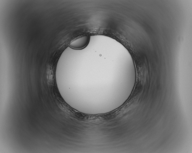 X0000114231154200910161605