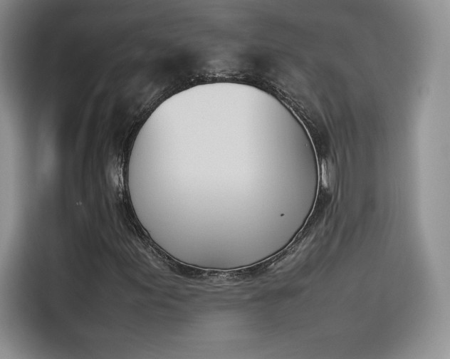 X0000114231155200910161604