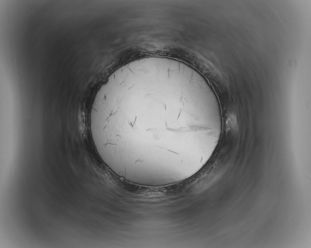 X0000114231156200910161604