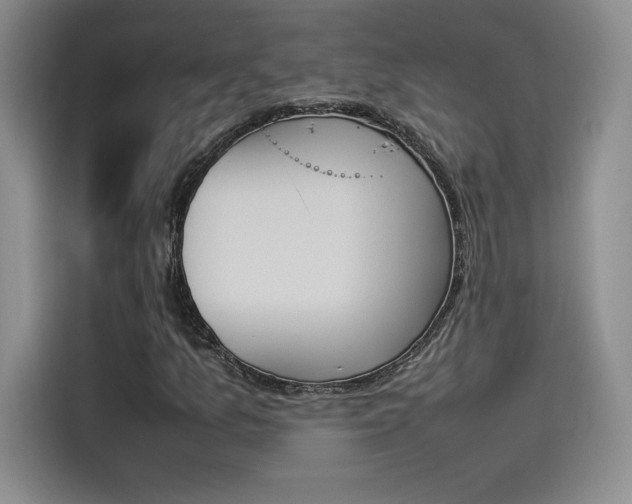 X0000114231157200910161604