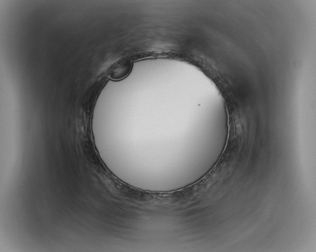 X0000114231158200910161604