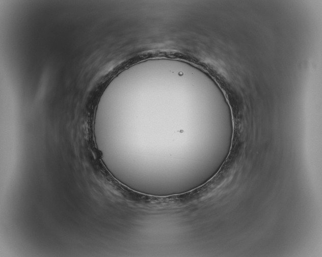 X0000114231159200910161604