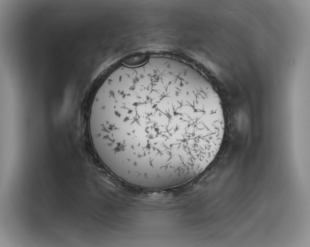 X0000114231160200910161604