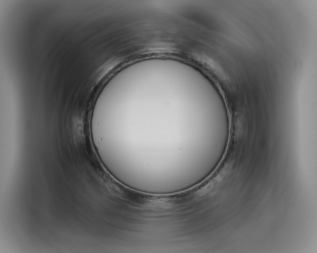 X0000114231162200910161604
