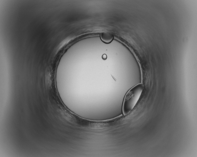 X0000114231163200910161604
