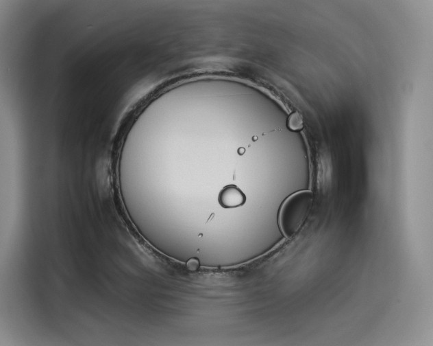 X0000114231164200910161604