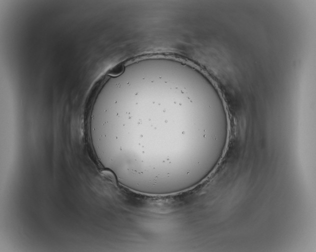 X0000114231165200910161604