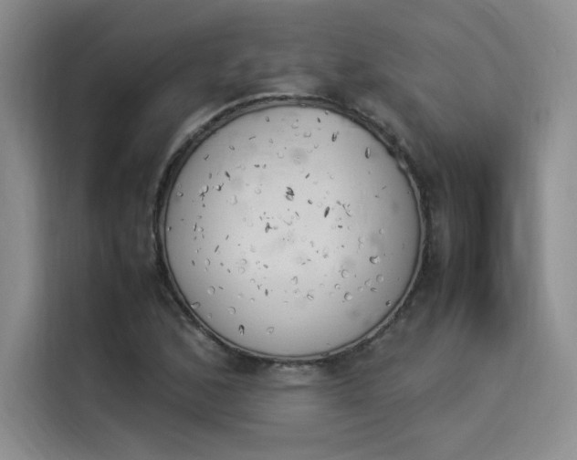 X0000114231168200910161604