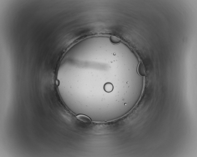 X0000114231169200910161604