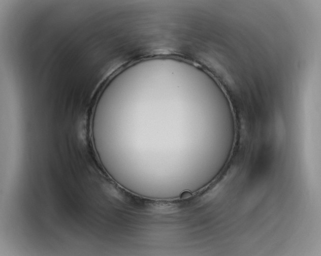 X0000114231170200910161604