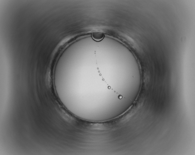 X0000114231172200910161604