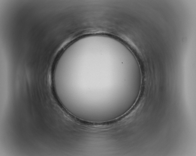X0000114231173200910161604