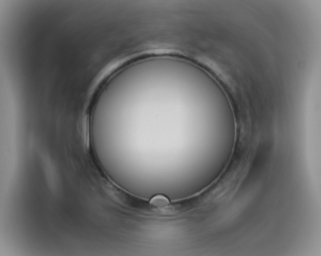 X0000114231175200910161604