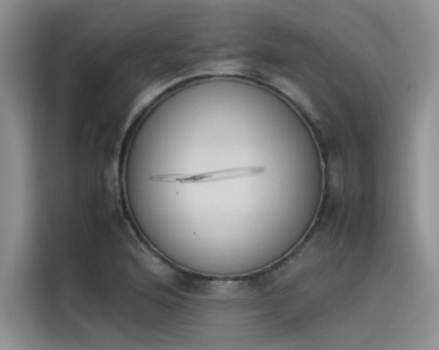 X0000114231176200910161604
