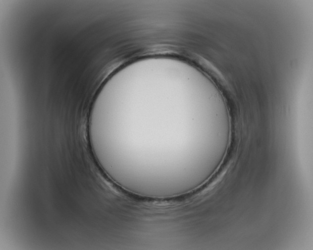 X0000114231177200910161604