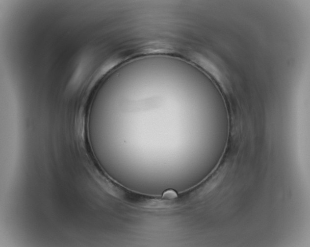 X0000114231179200910161604