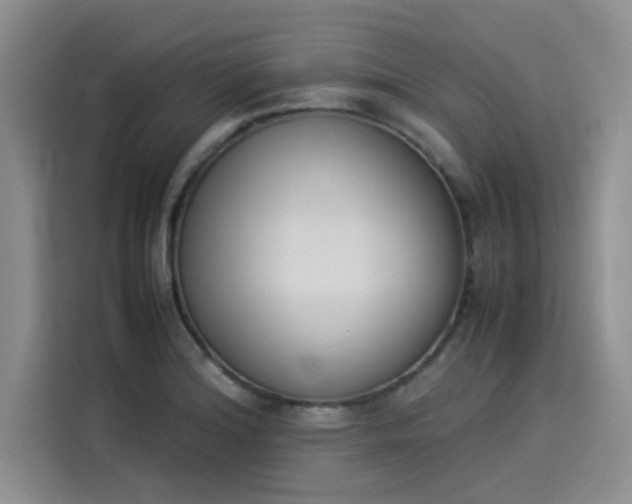 X0000114231180200910161604