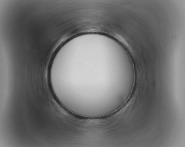 X0000114231181200910161604