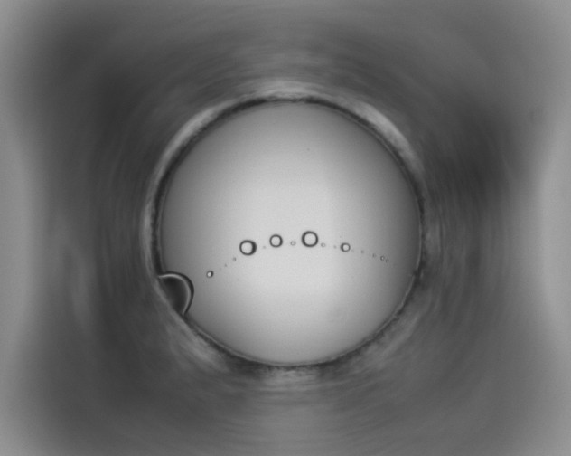 X0000114231183200910161604