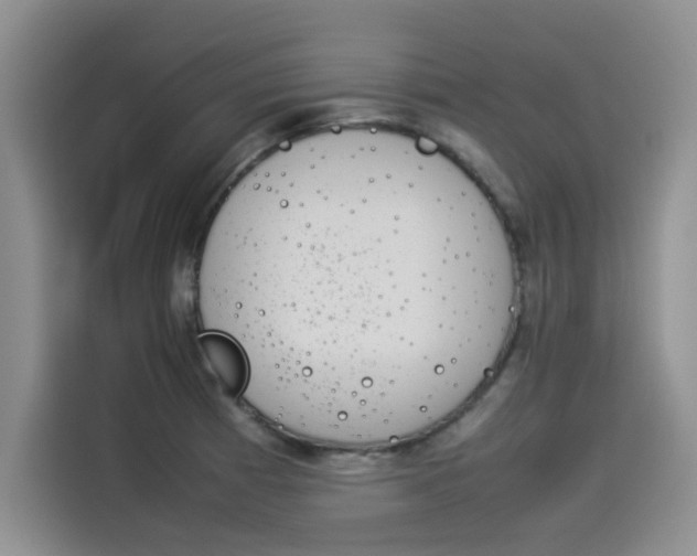 X0000114231185200910161604
