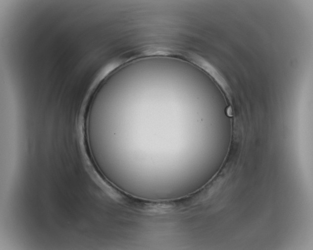 X0000114231187200910161604