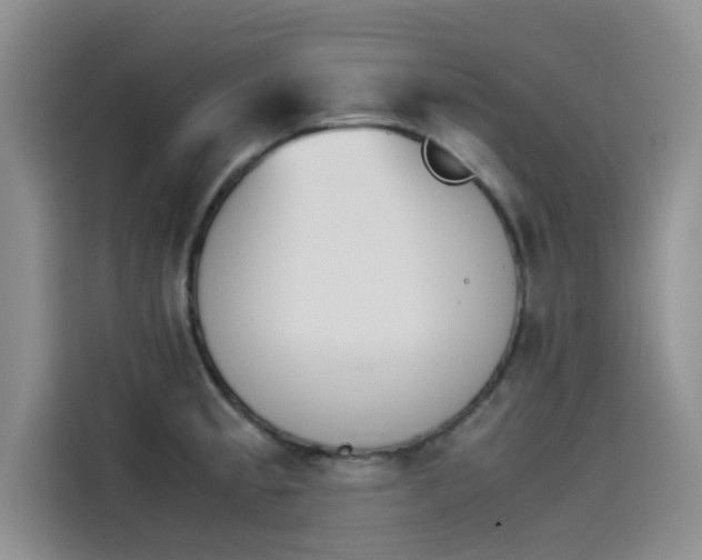 X0000114231189200910161604