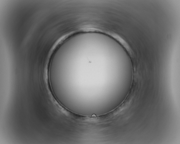 X0000114231191200910161604