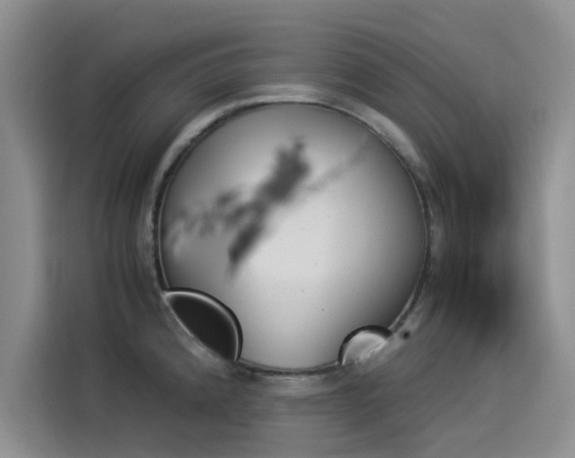 X0000114231192200910161604