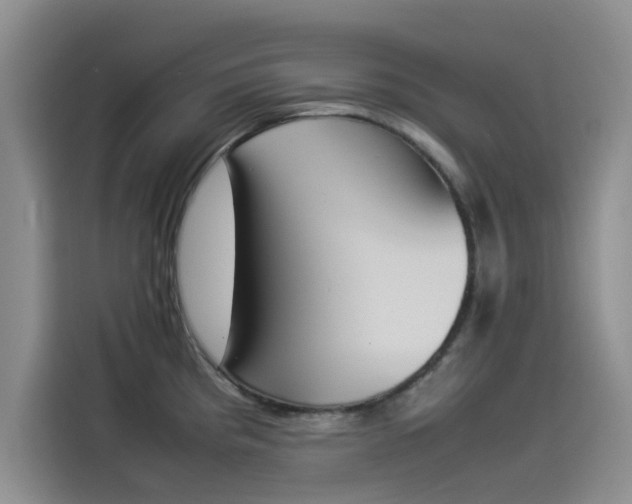 X0000114231193200910161604