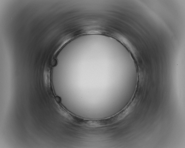 X0000114231194200910161604