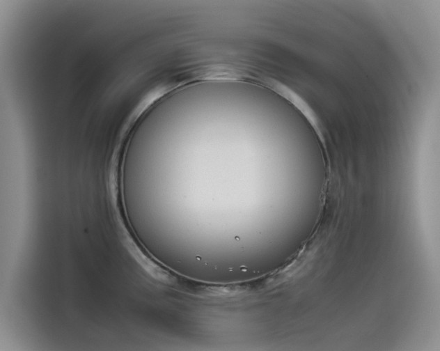 X0000114231195200910161604