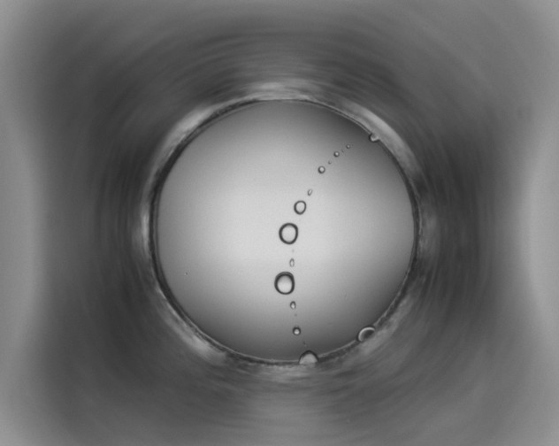 X0000114231196200910161604
