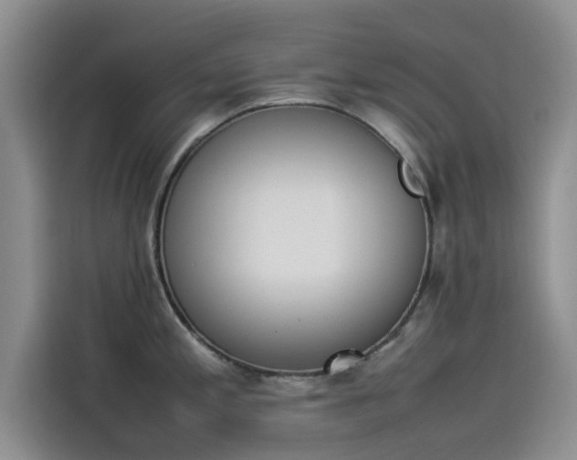X0000114231197200910161604