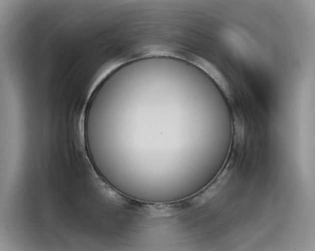 X0000114231198200910161604