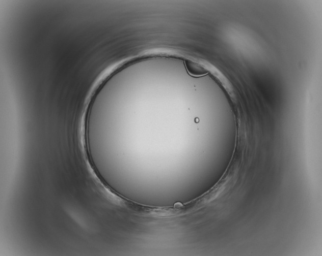 X0000114231199200910161604