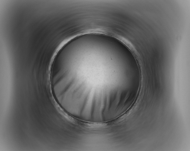 X0000114231200200910161604