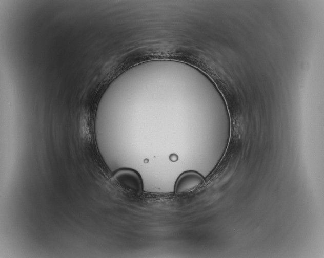 X0000114231202200910161603