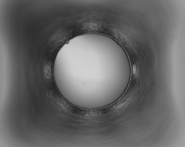 X0000114231203200910161603