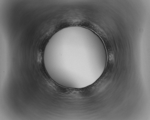 X0000114231204200910161603