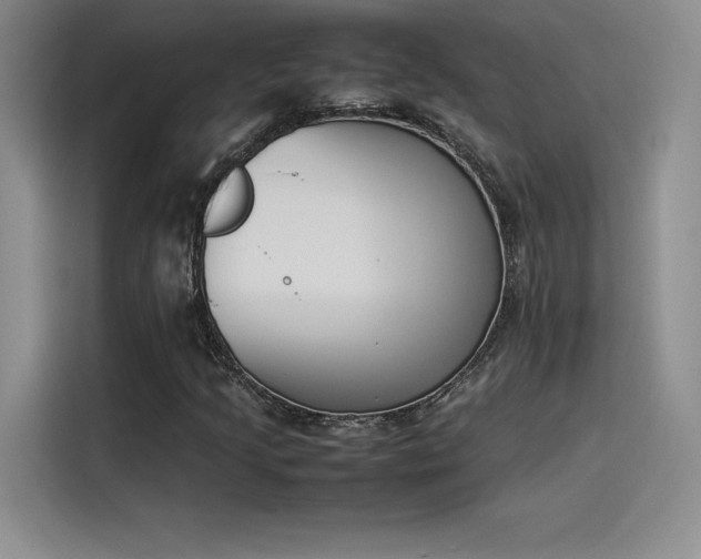 X0000114231205200910161603