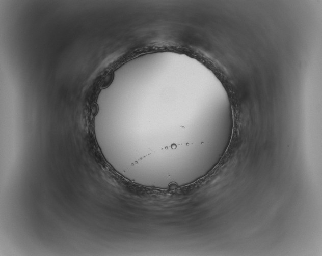 X0000114231207200910161603